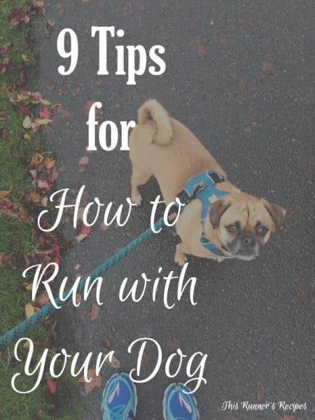 9 Tips for How to Run with Your Dog