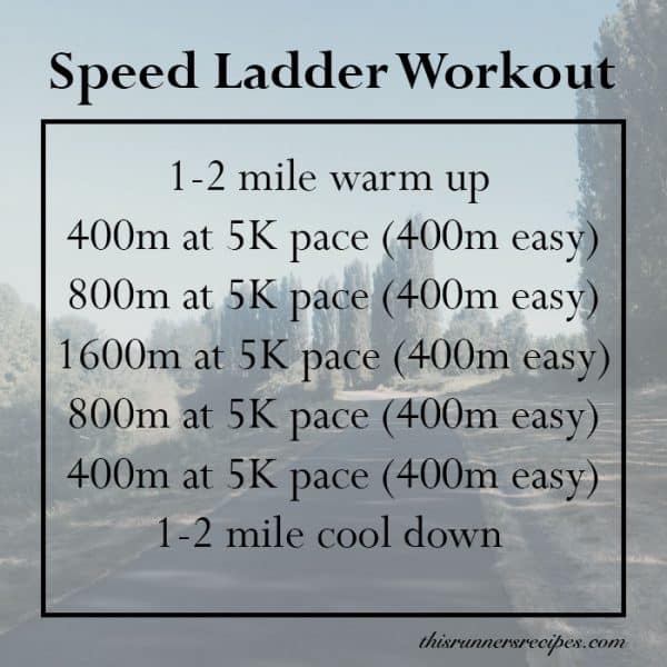 Speed Ladder Workout