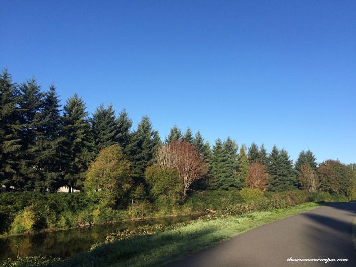 Sammamish River Trail in Autumn