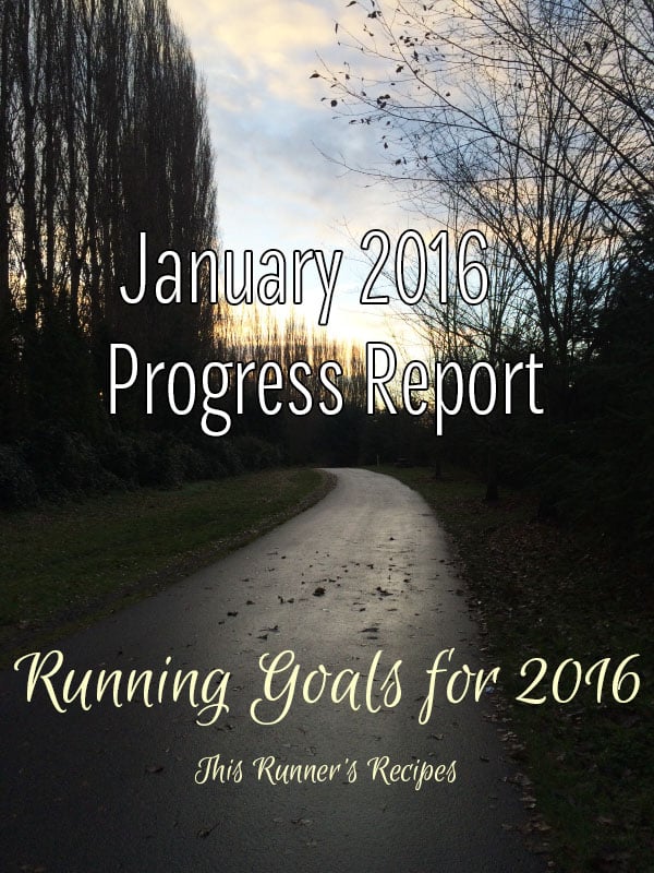 January 2016 Goals Progress Report
