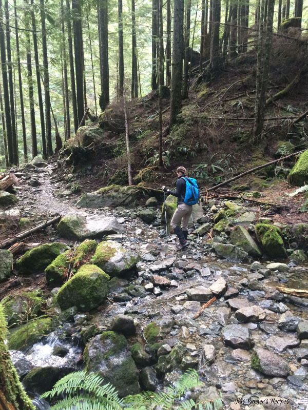 Life Lately March 2016