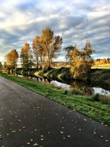 October 2016 Goals Check In