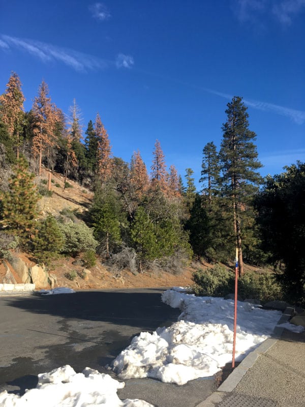 Visiting Yosemite in Winter