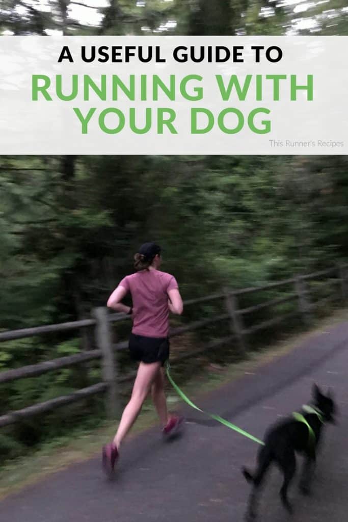 A Useful Guide to Running with Your Dog