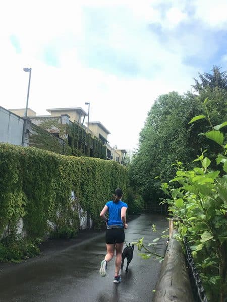 Mile Markers: Running through Sunshine