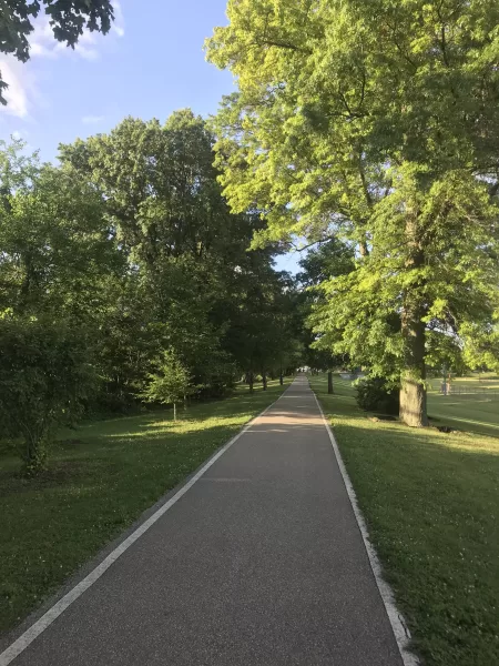 Voices to Listen to on Running and Race